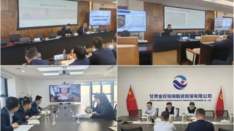  开云手机网(中国)官方网站
举办2025年度协同项目推进会暨协同风险防控专题培训